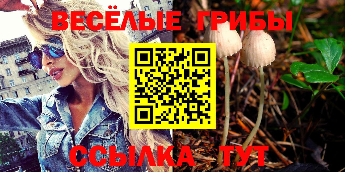 Галлюциногенные грибы Psilocybine cubensis Чусовой