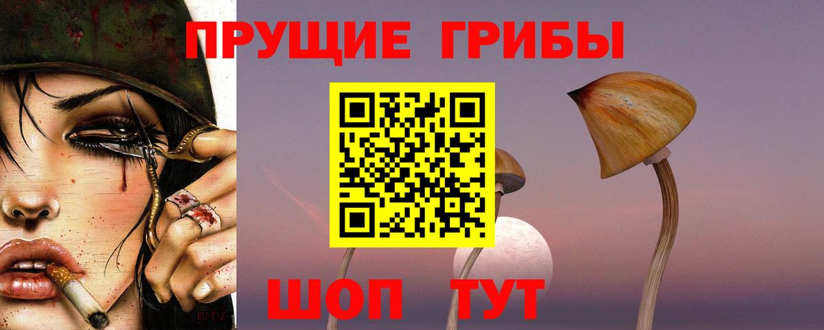 Чусовой  Галлюциногенные грибы мицелий  Вход с VPN 